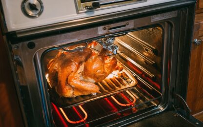 Beste Vrijstaande Oven van 2026